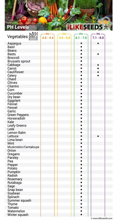 custom best moisture meter for plants|soil moisture level chart.